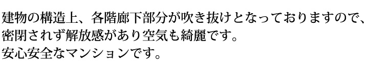 �����̍\����A�e�K�L�����������������ƂȂ��Ă���܂��̂ŁA�����ꂸ������������C���Y��ł��B